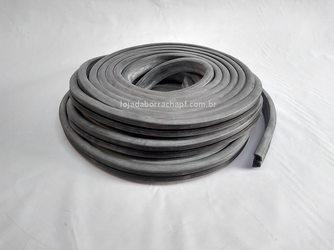 N79 Borr. porta furgão dupla 25 Metros